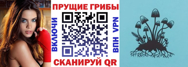 Псилоцибиновые грибы прущие грибы  Купить закладки  Соликамск 